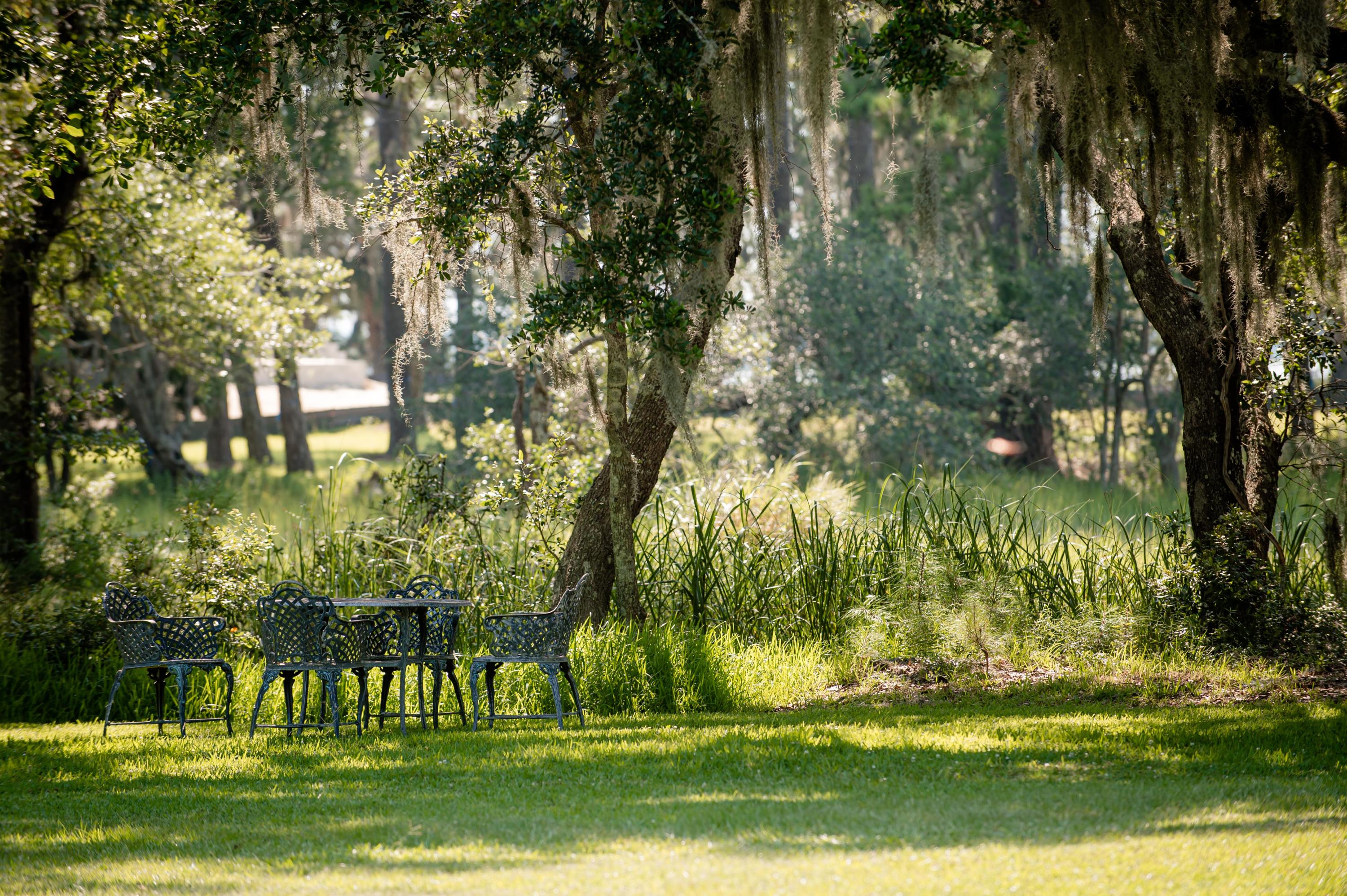 6090 Josie Ridge Road Wadmalaw Island, SC 29487 - Photo 4 of 45 Josie Ridge Shoot_Low Res-1