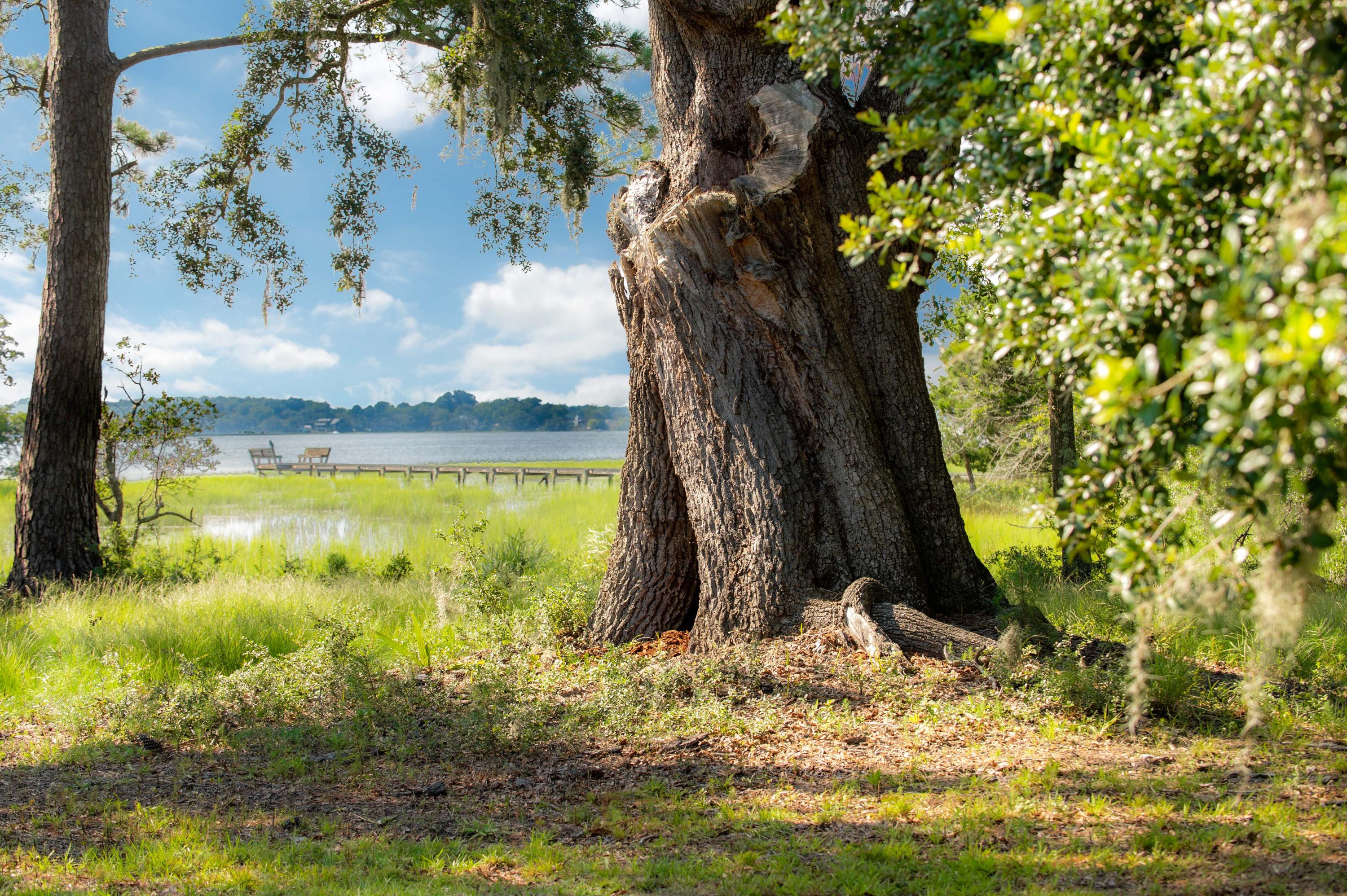 6090 Josie Ridge Road Wadmalaw Island, SC 29487 - Photo 5 of 45 Josie Ridge Shoot_Low Res-5