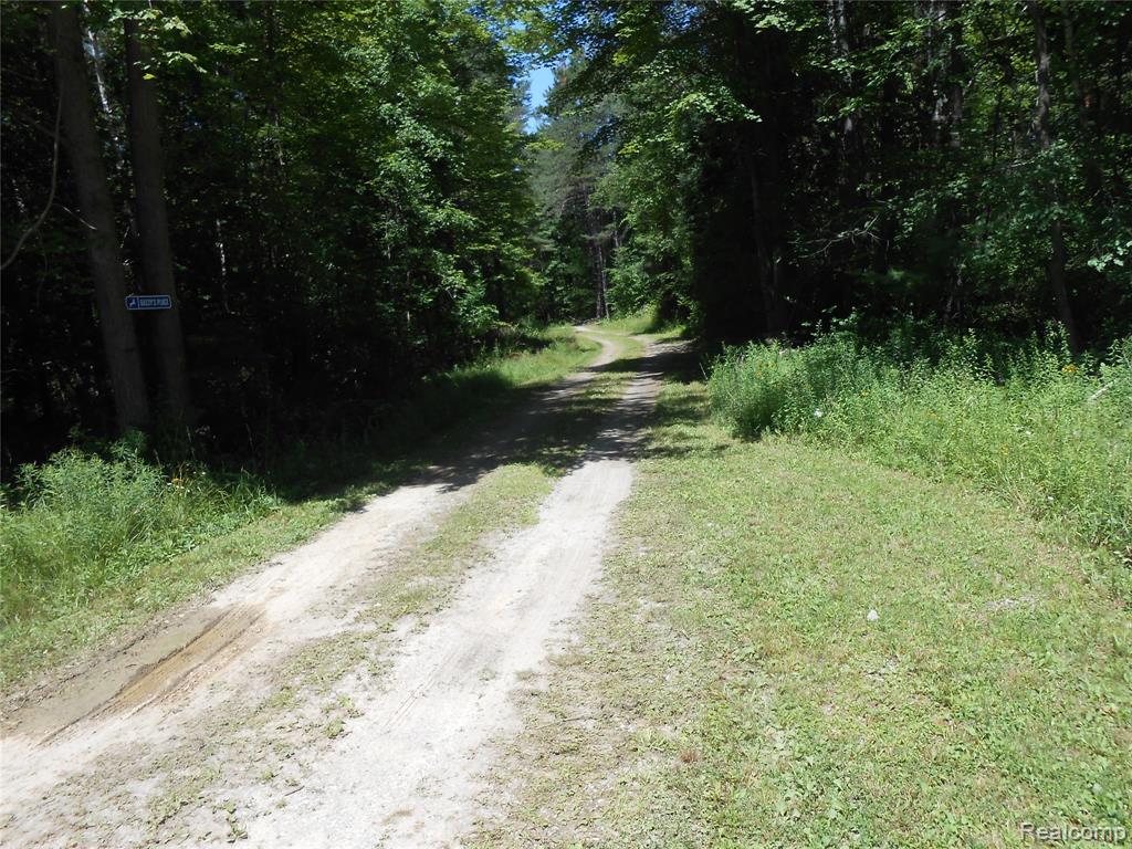 0 Snover Road Sandusky, MI 48471 - Photo 3 of 10