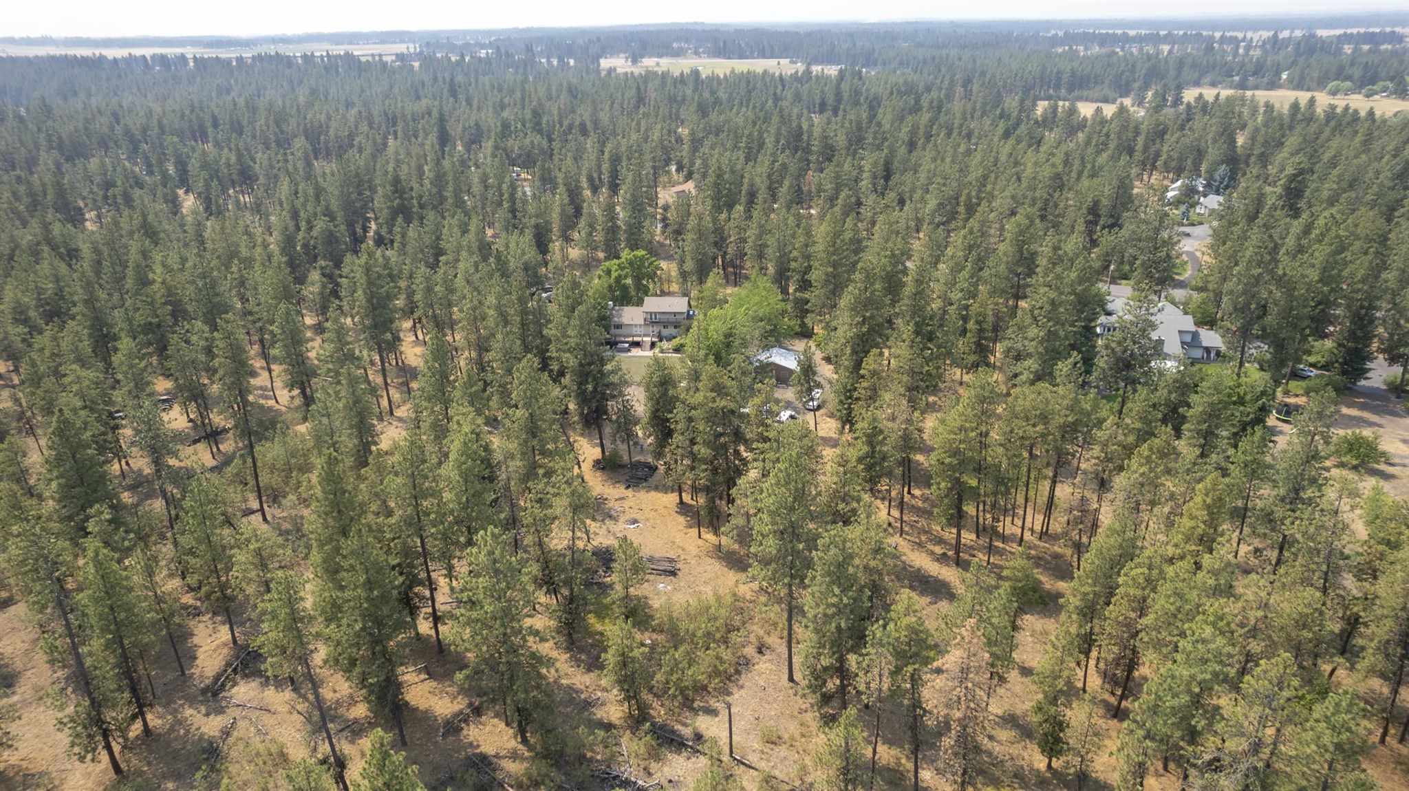 19607 South Duncan Road Spangle, WA 99031 - Photo 4 of 49