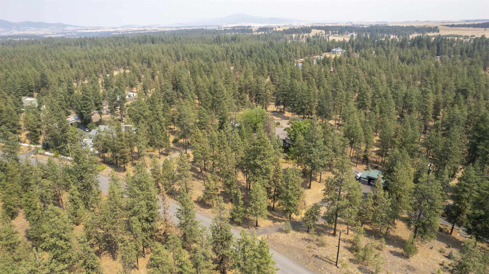 19607 South Duncan Road Spangle, WA 99031 - Photo 46 of 49