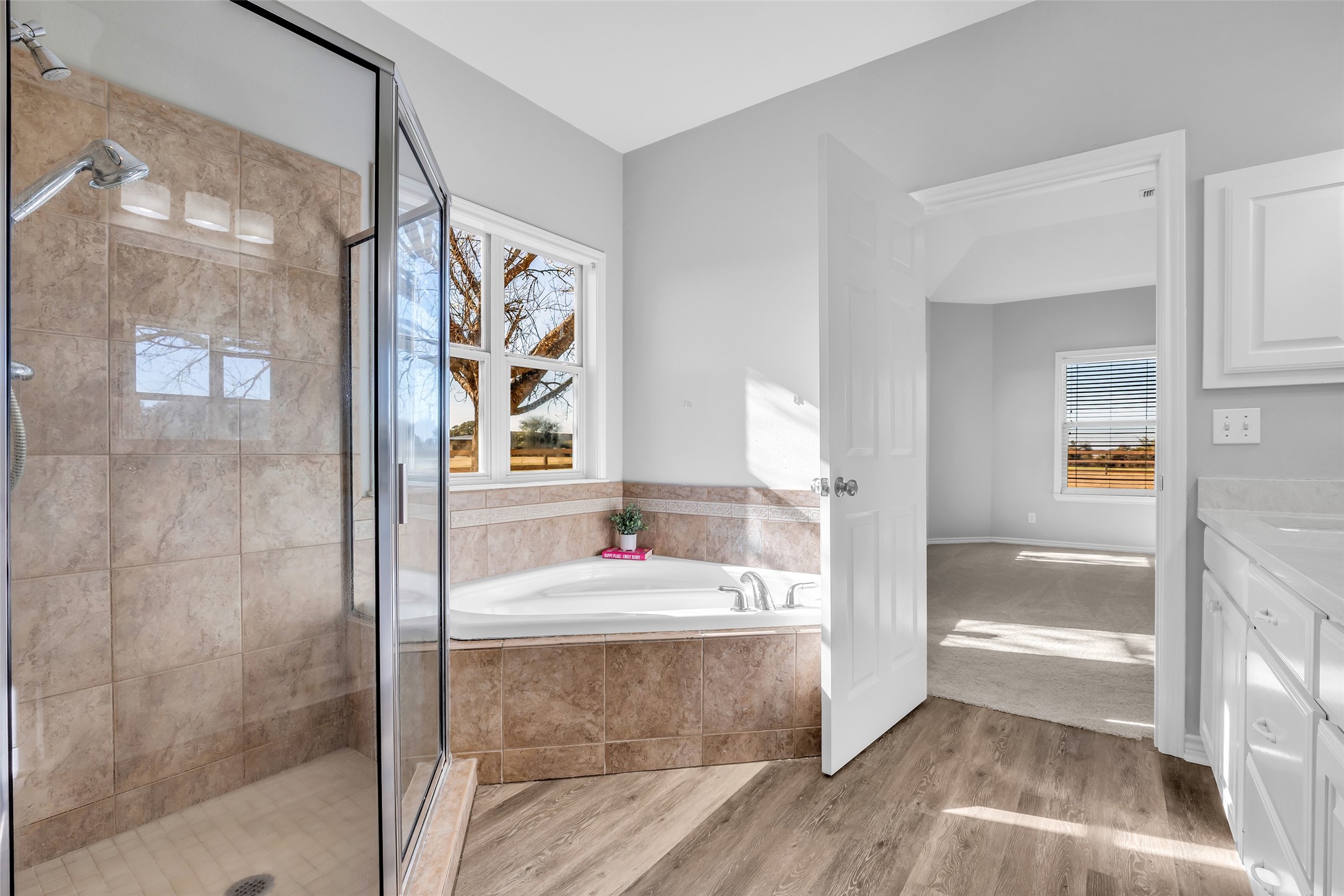 1075 Harrisburg Road Brenham, TX 77833 - Photo 24 of 49 a bathroom with a tub sink vanity and mirror