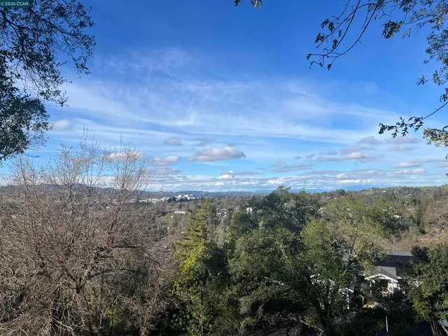 a view of a yard with an outdoor space