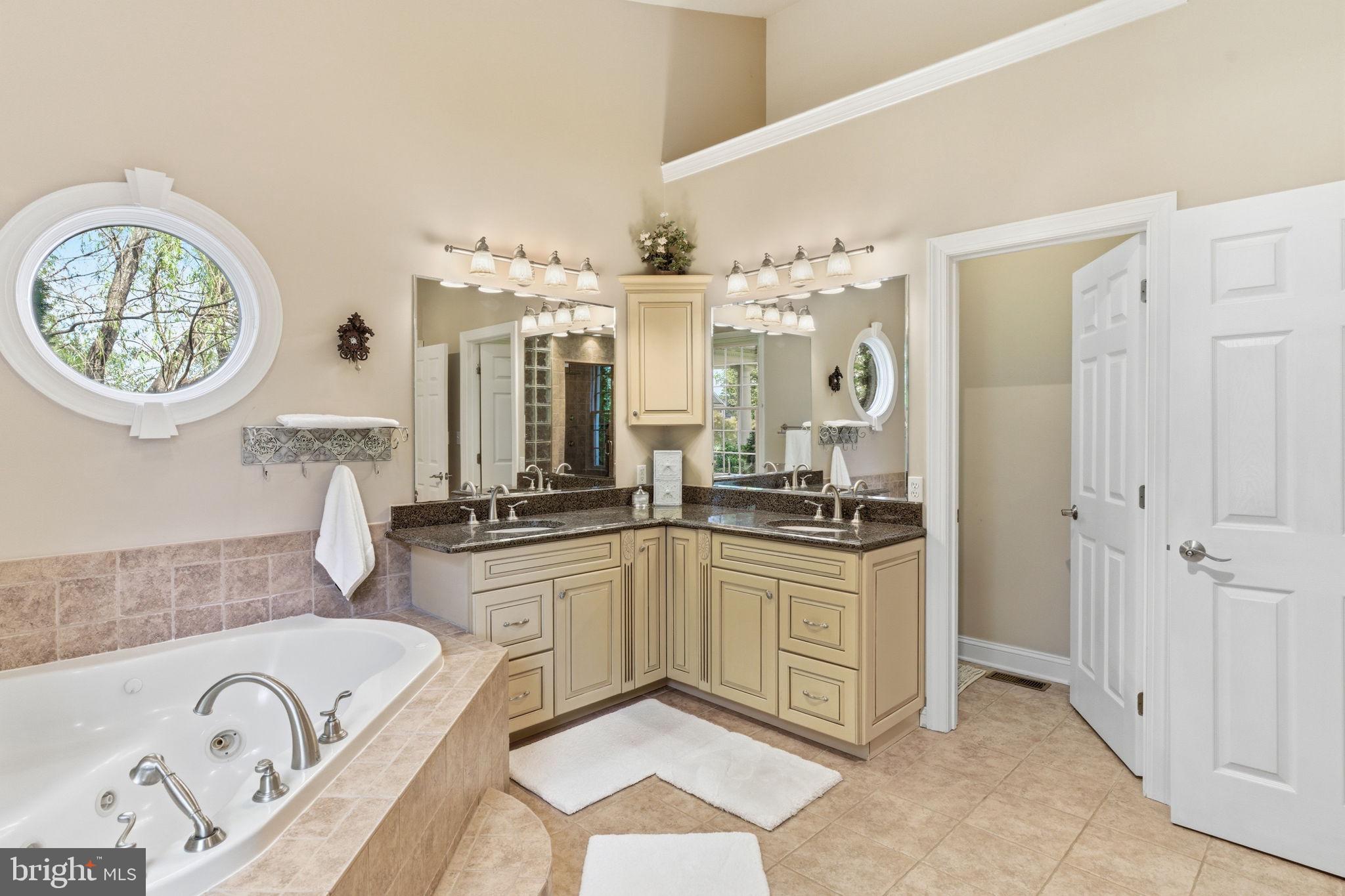 9 Deer Ridge Court Phoenix, MD 21131 - Photo 49 of 96 a spacious bathroom with a granite countertop sink a mirror a bathtub and a shower