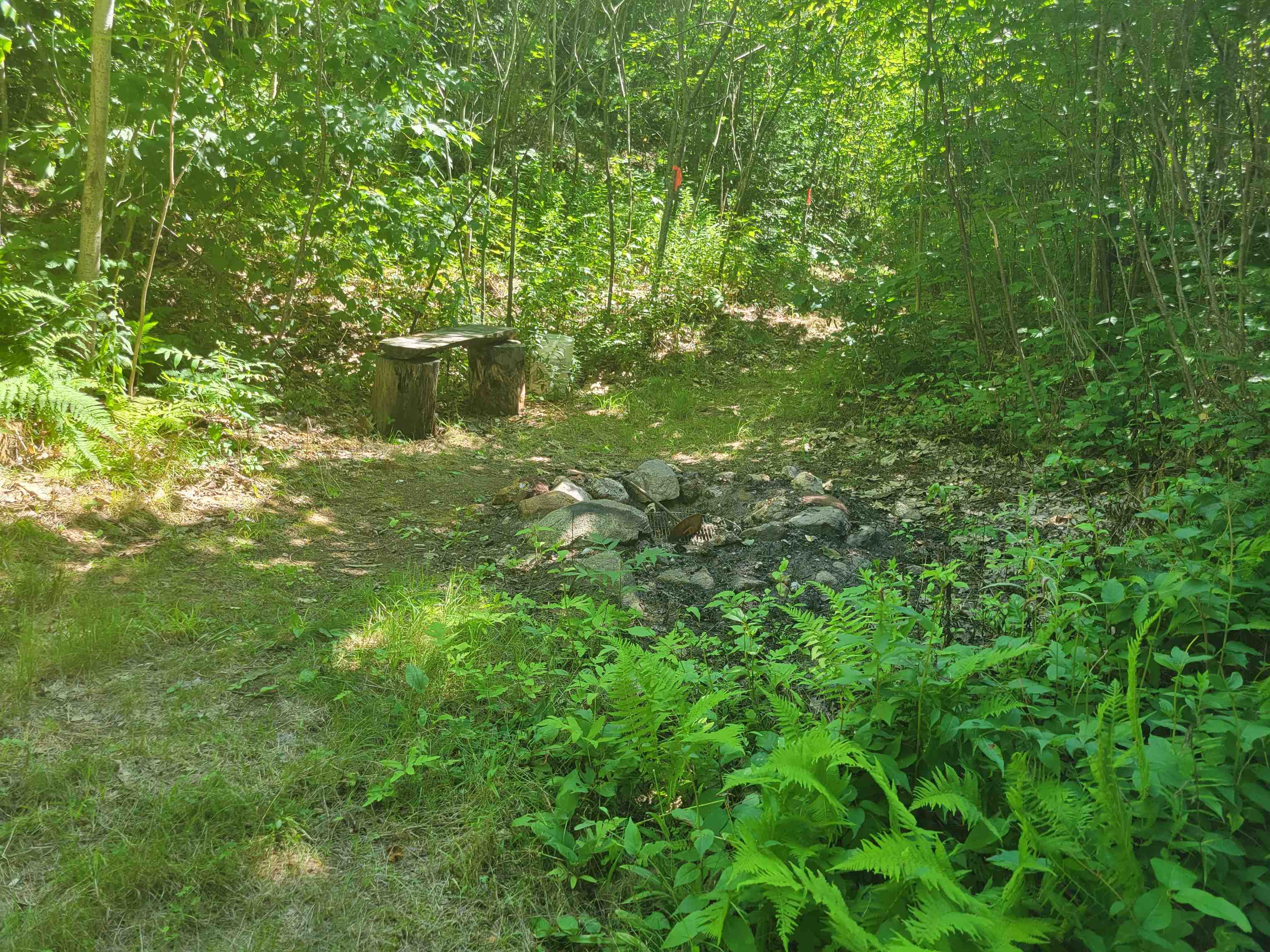 2018 Buffalo Road Rumney, NH 03266 - Photo 22 of 25