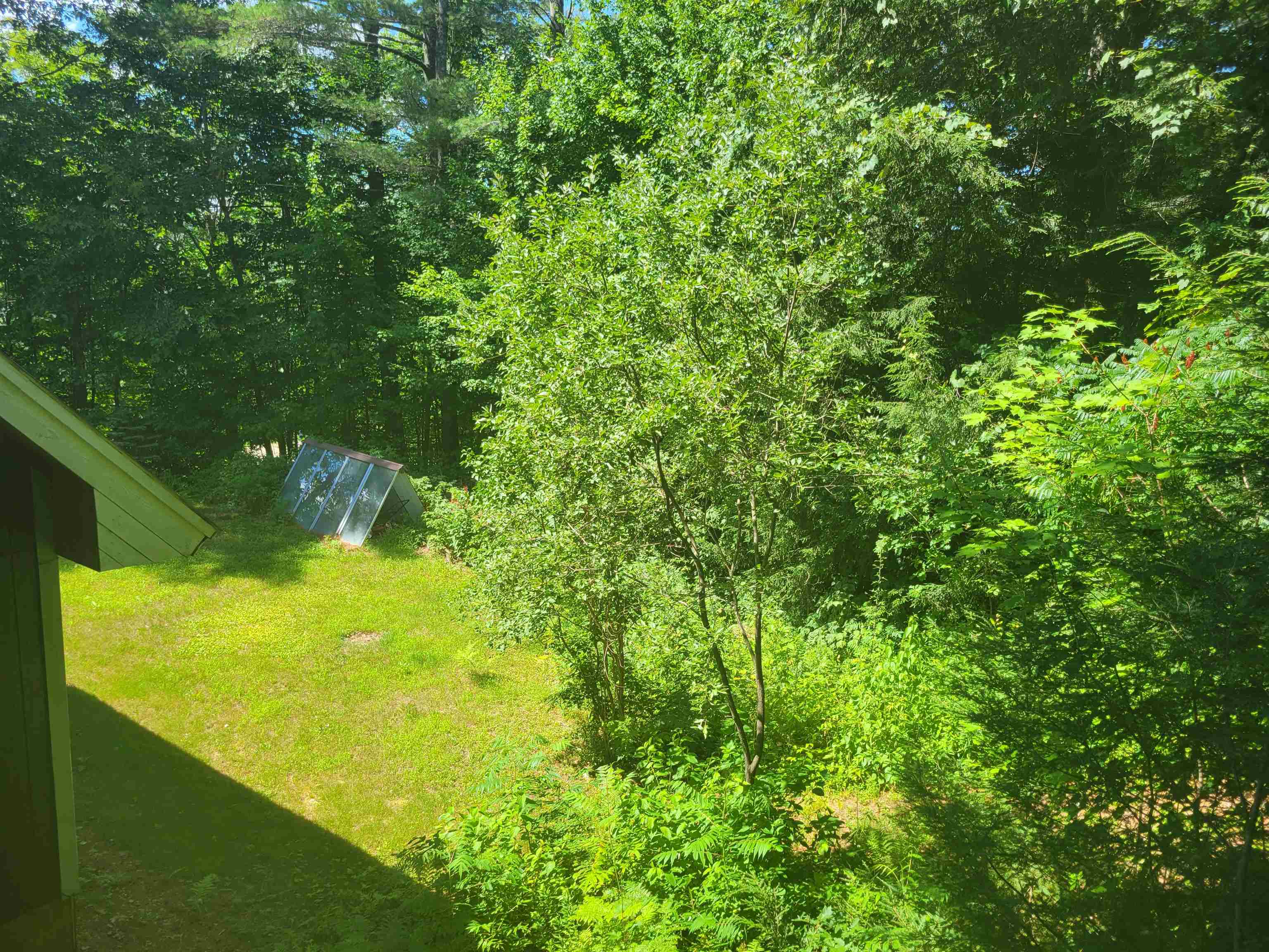 2018 Buffalo Road Rumney, NH 03266 - Photo 23 of 25