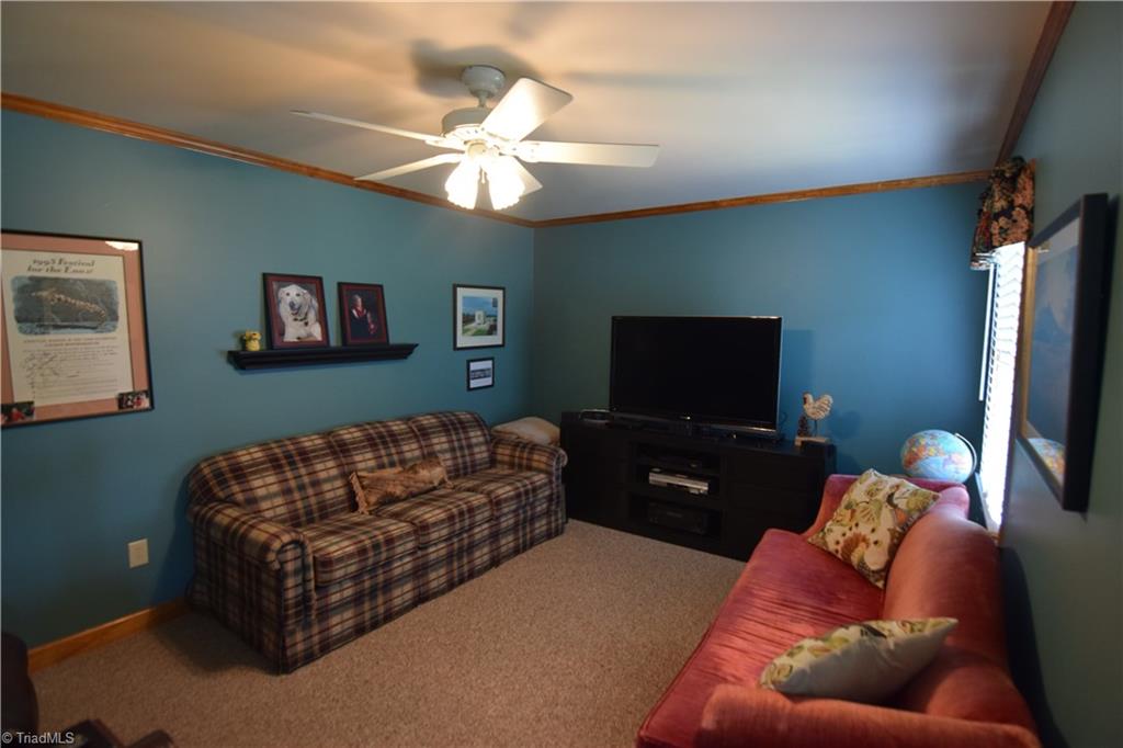 1140 Patterson Farm Road Pinnacle, NC 27043 - Photo 16 of 17
