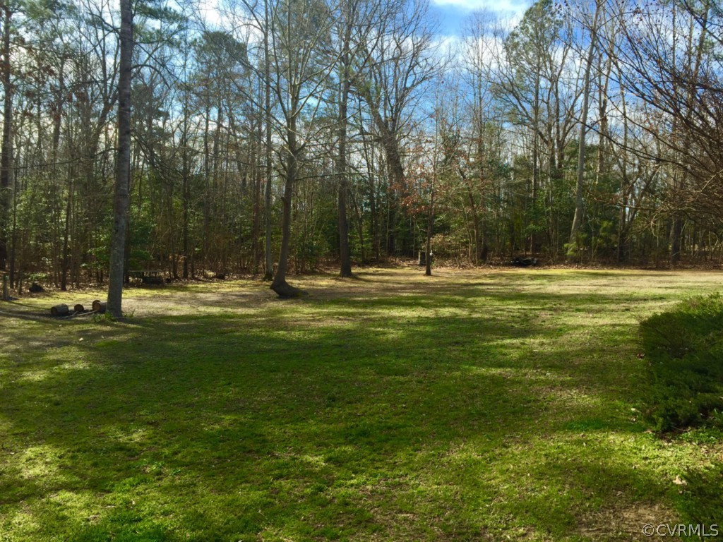 17941 Loving Union Road Disputanta, VA 23842 - Photo 15 of 17 a view of a green field with trees
