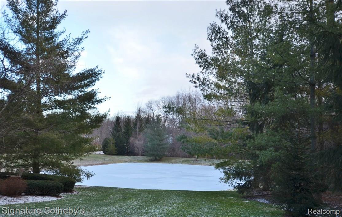 860 Palms Road Bloomfield Hills, MI 48304 - Photo 42 of 44 37 pond 1.JPG