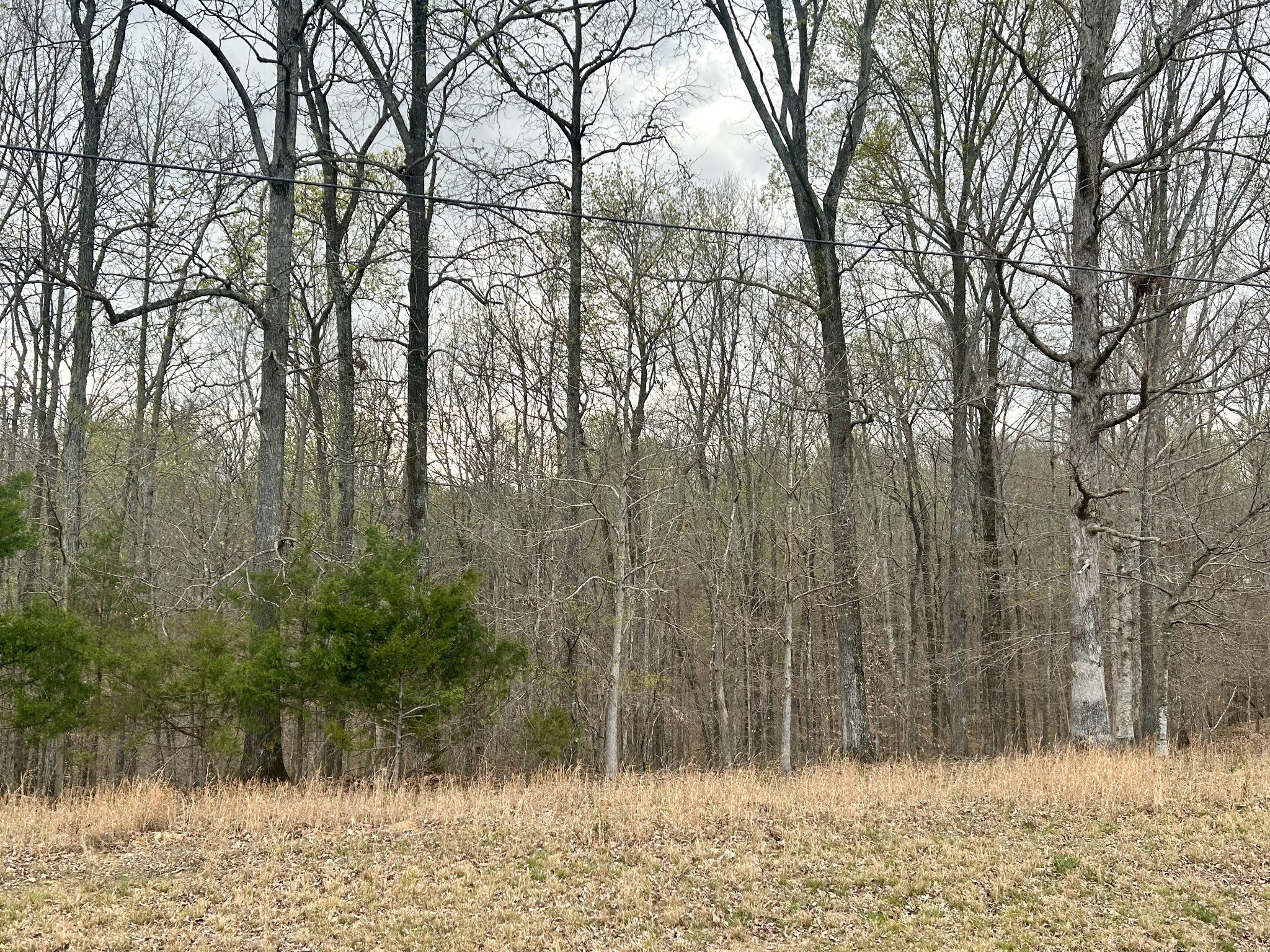 1020 Ed Sanders Road Lynchburg, TN 37352 - Photo 1 of 7