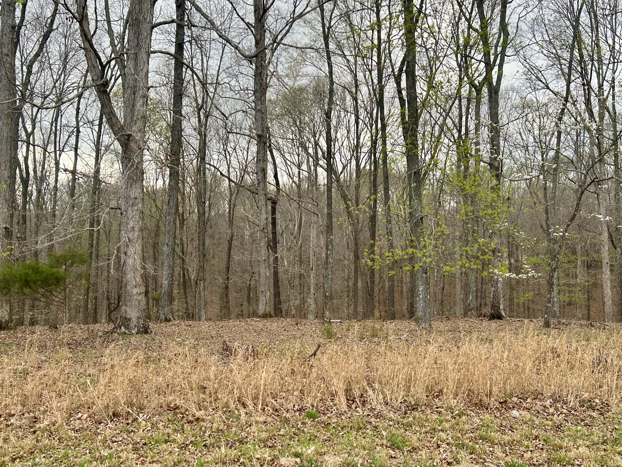 1020 Ed Sanders Road Lynchburg, TN 37352 - Photo 4 of 7