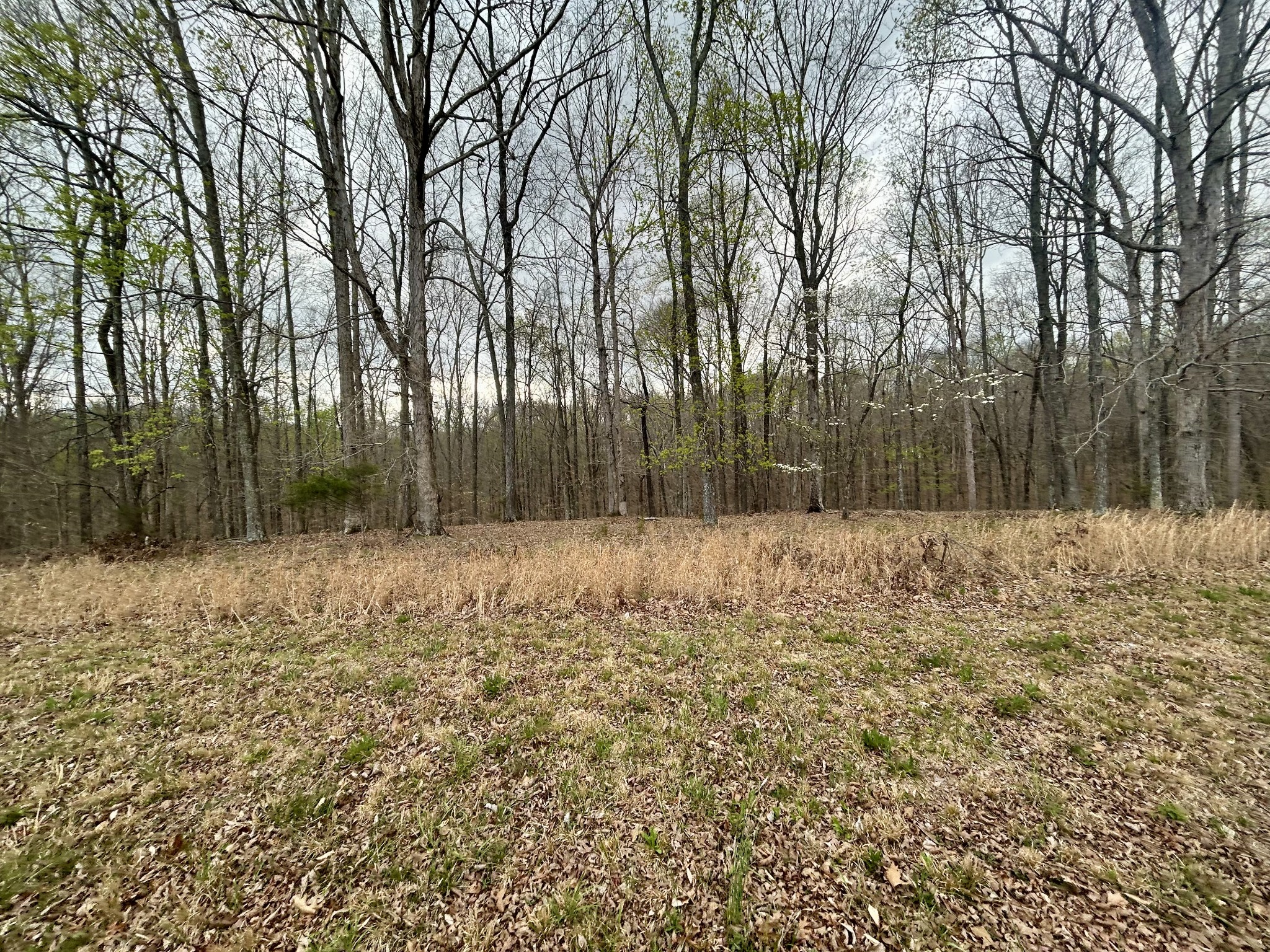 1020 Ed Sanders Road Lynchburg, TN 37352 - Photo 5 of 7