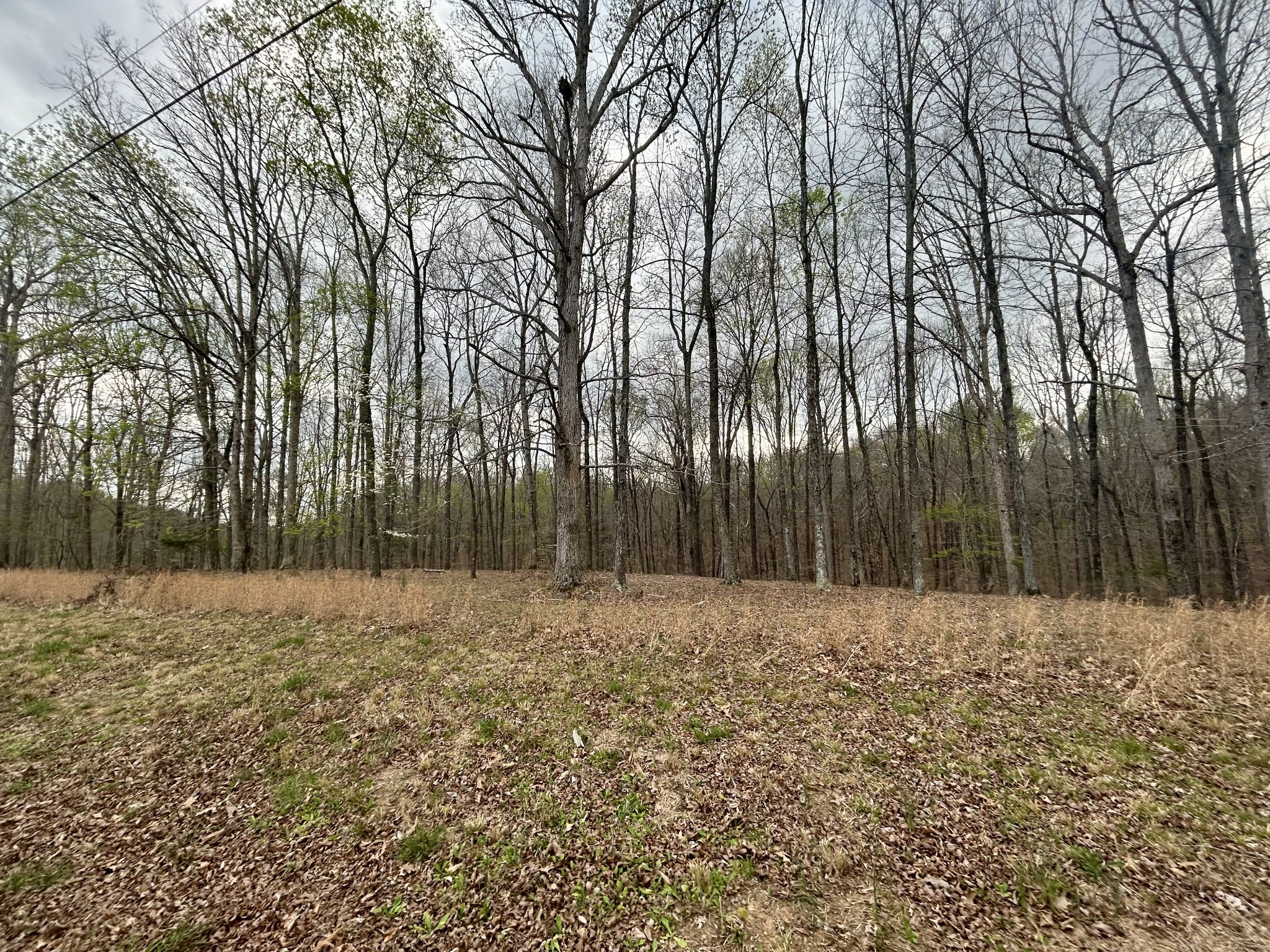1020 Ed Sanders Road Lynchburg, TN 37352 - Photo 6 of 7