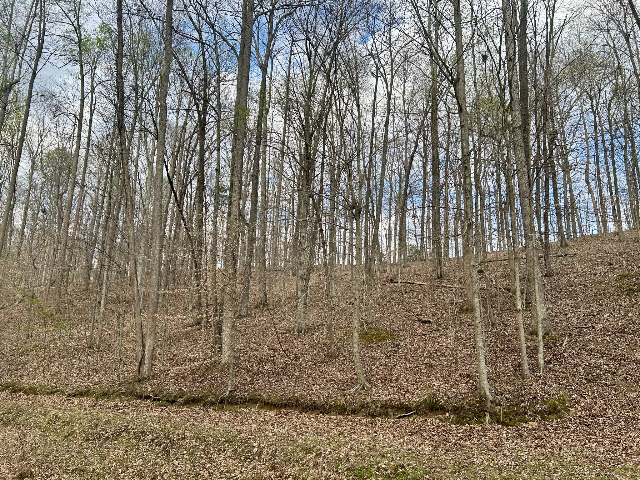 1020 Ed Sanders Road Lynchburg, TN 37352 - Photo 7 of 7