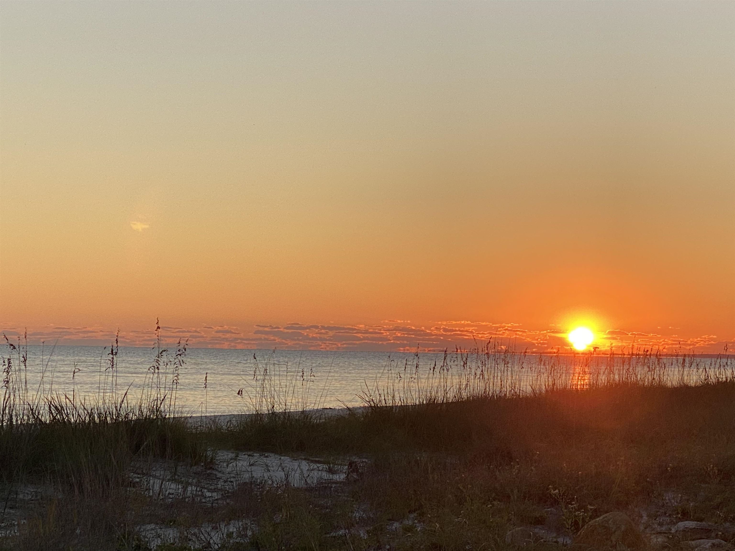 7 Bass Street Alligator Point, FL 32346 - Photo 2 of 32