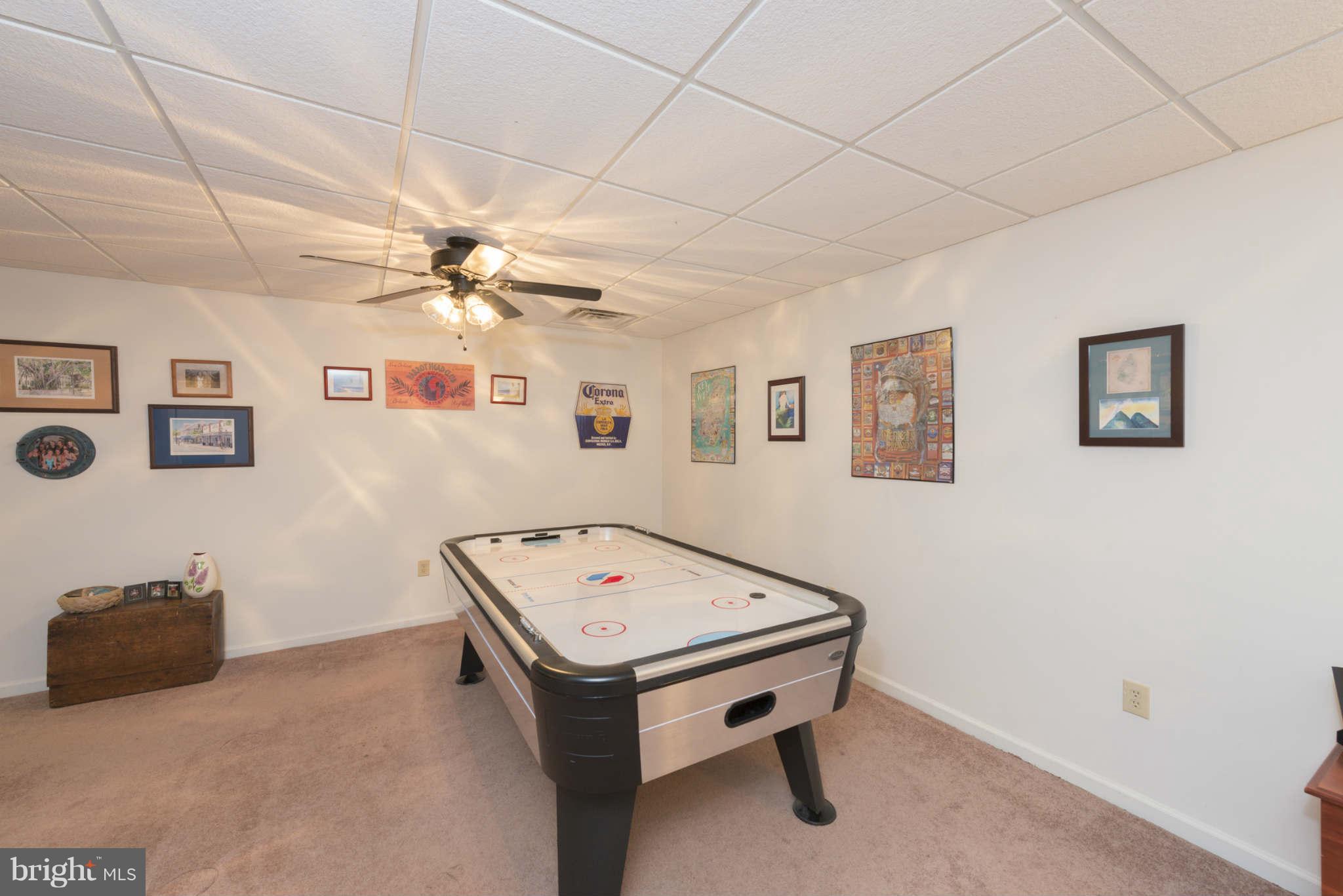 38 Rustic Ridge Road Fredericksburg, VA 22405 - Photo 19 of 27 LOWER LEVEL DEN!