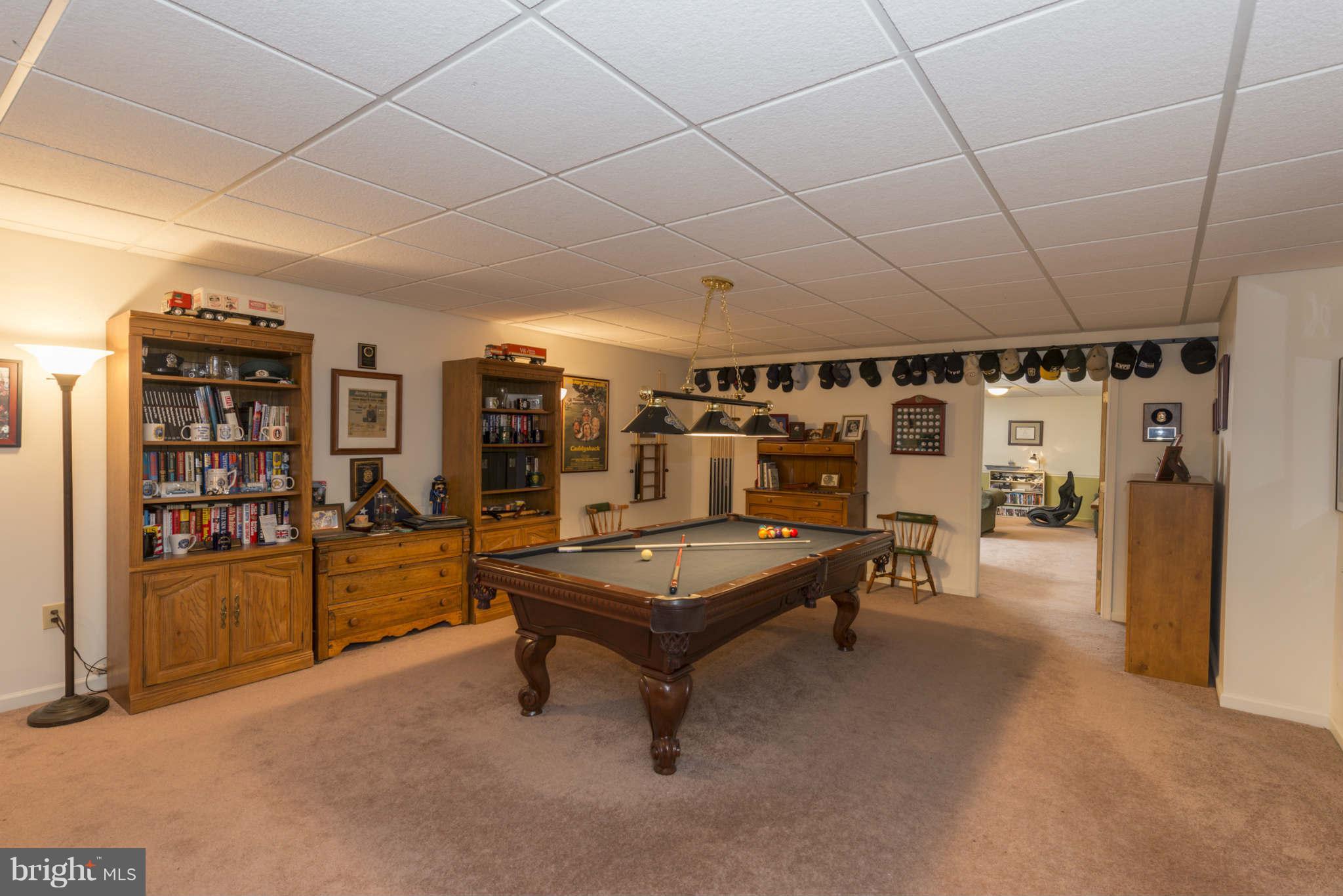 38 Rustic Ridge Road Fredericksburg, VA 22405 - Photo 20 of 27 REC ROOM!