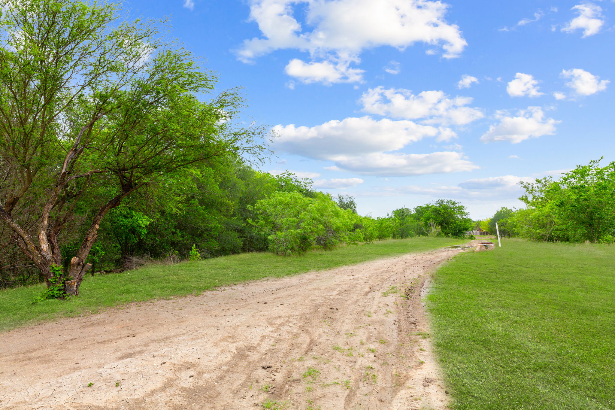 310 Myrtle Street Kyle, TX 78640 - Photo 29 of 39 a view of a pathway with a yard