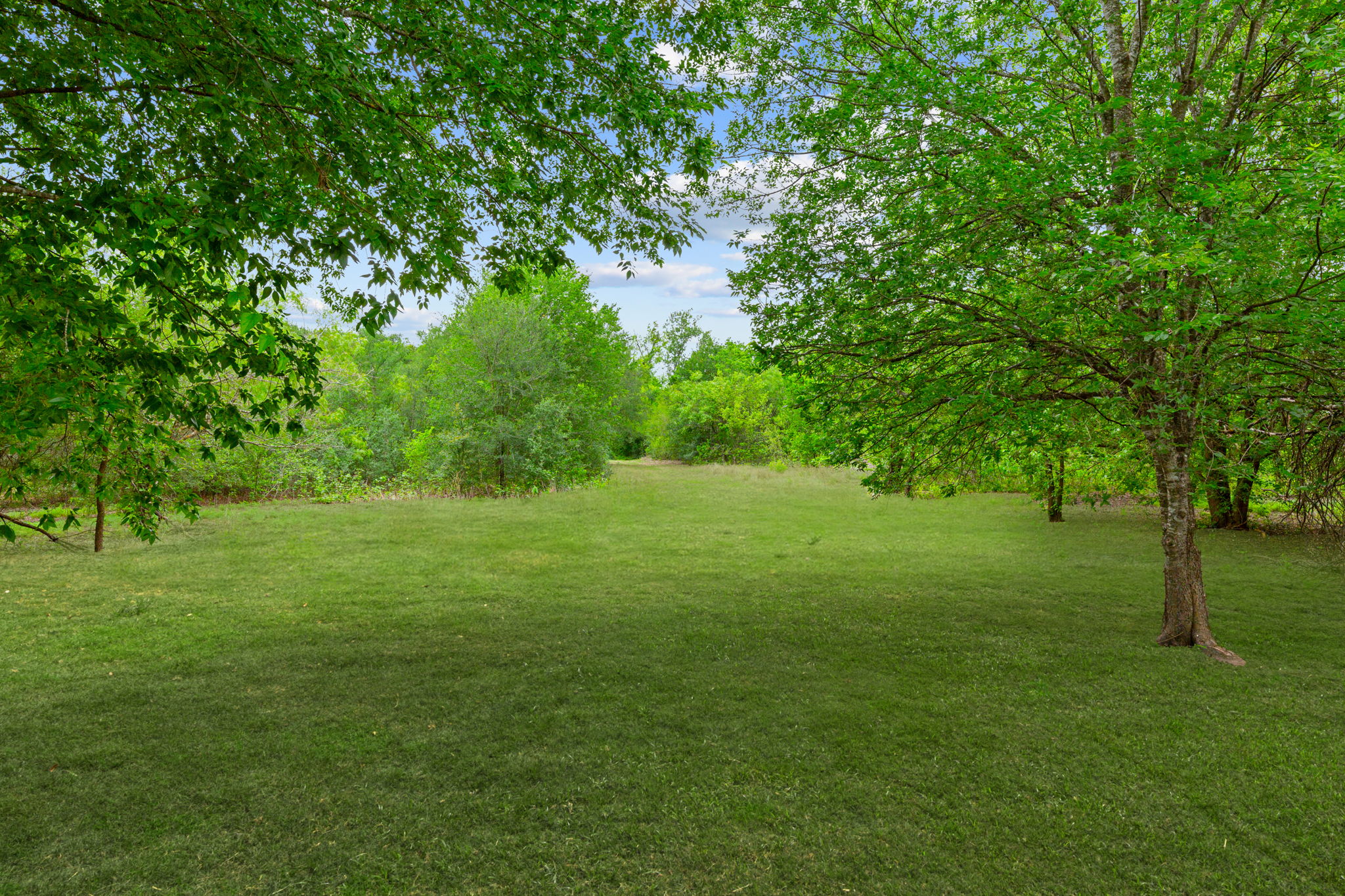 310 Myrtle Street Kyle, TX 78640 - Photo 30 of 39 a view of yard with green space