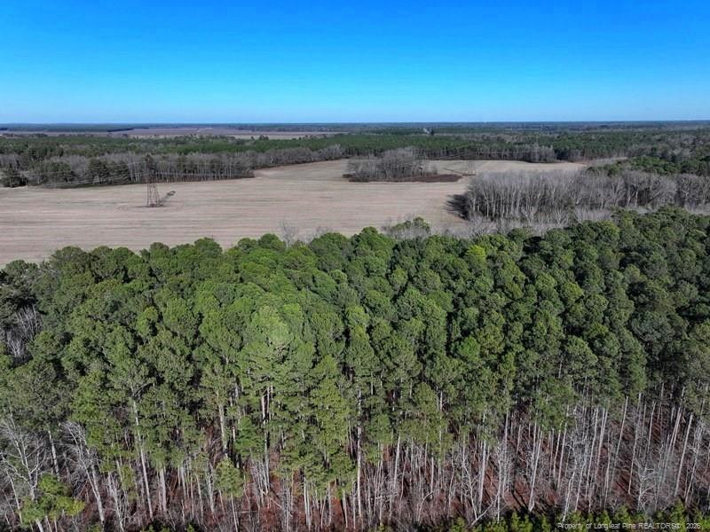 Tbd South Old Wire Road Maxton, NC 28364 - Photo 4 of 38 Photo 4
