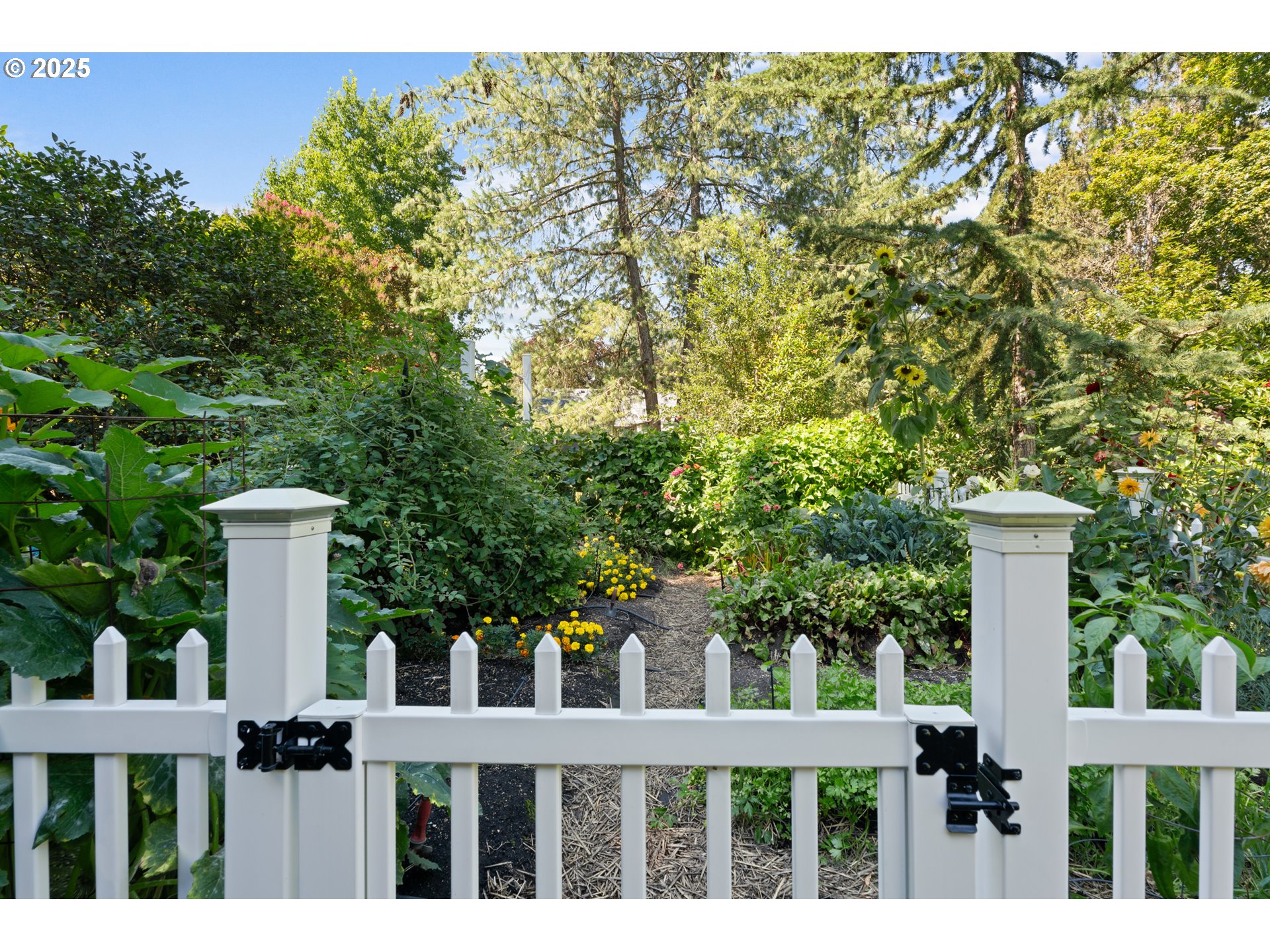 7225 Southwest Juniper Terrace Beaverton, OR 97008 - Photo 37 of 47 Garden