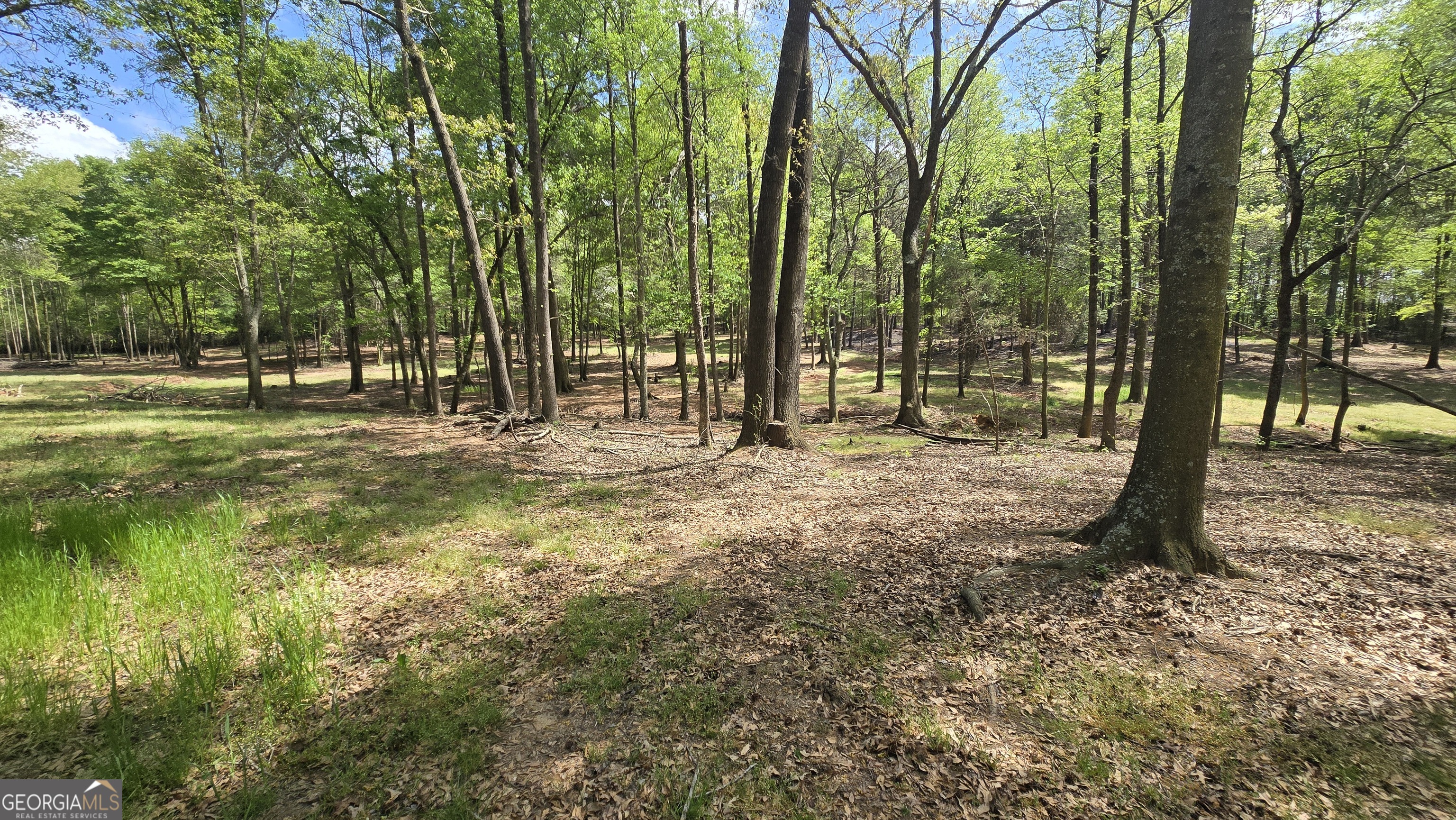 213 Duncan Swindle Road Commerce, GA 30530 - Photo 75 of 87