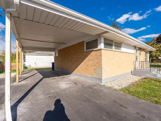 a view of backyard with large tree