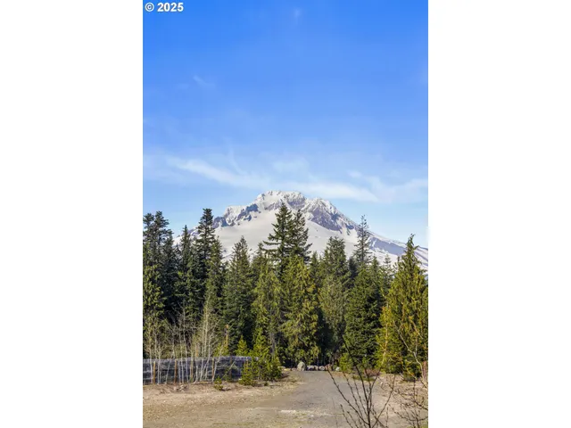 a view of a dry yard with a tree