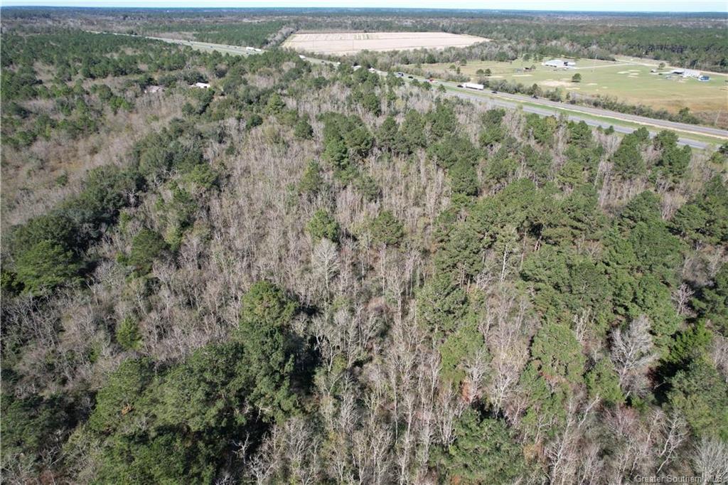 0 Tbd Dogwood Road Egan, LA 70531 - Photo 3 of 6