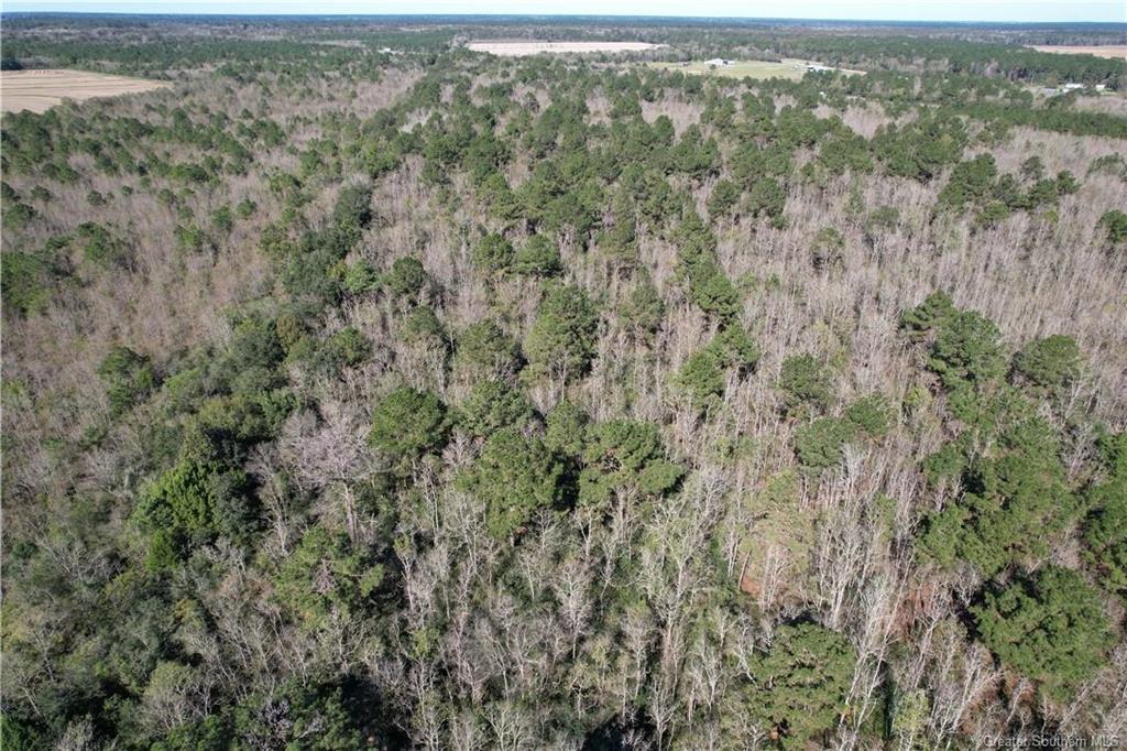 0 Tbd Dogwood Road Egan, LA 70531 - Photo 4 of 6