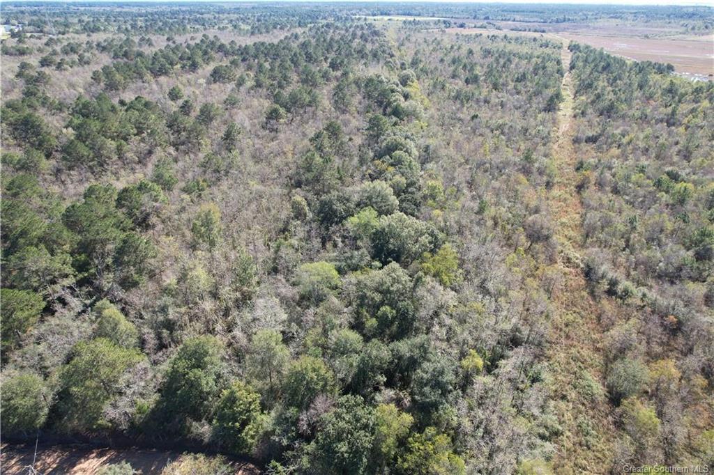 0 Tbd Dogwood Road Egan, LA 70531 - Photo 5 of 6