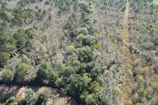 $46,000 | 0 Tbd Dogwood Road, Egan, LA 70531