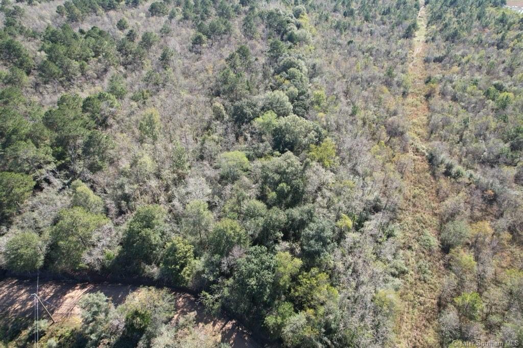 0 Tbd Dogwood Road Egan, LA 70531 - Photo 6 of 6