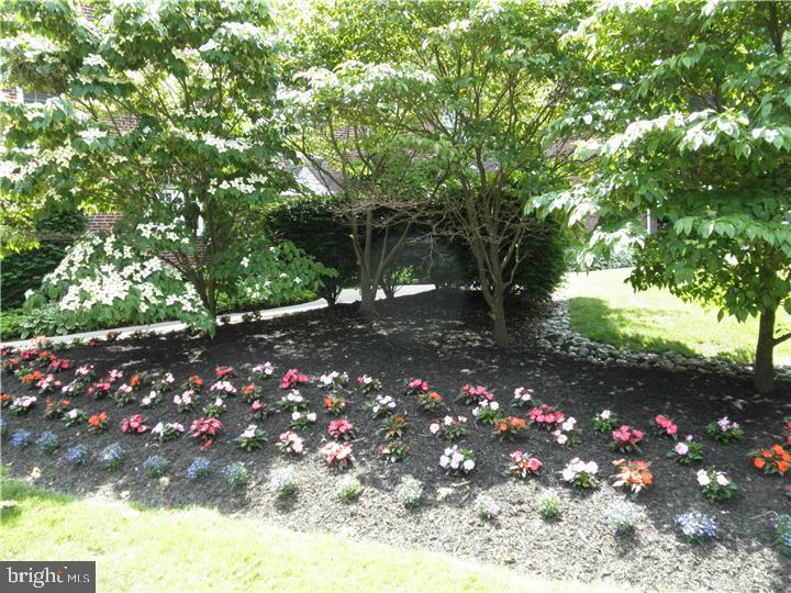 104 Woodside Road, Unit C206 Haverford, PA 19041 - Photo 20 of 24 Garden