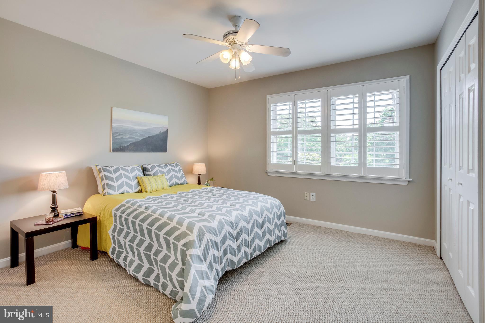 3900 9th Road South Arlington, VA 22204 - Photo 16 of 24 Master bedroom with loads of light