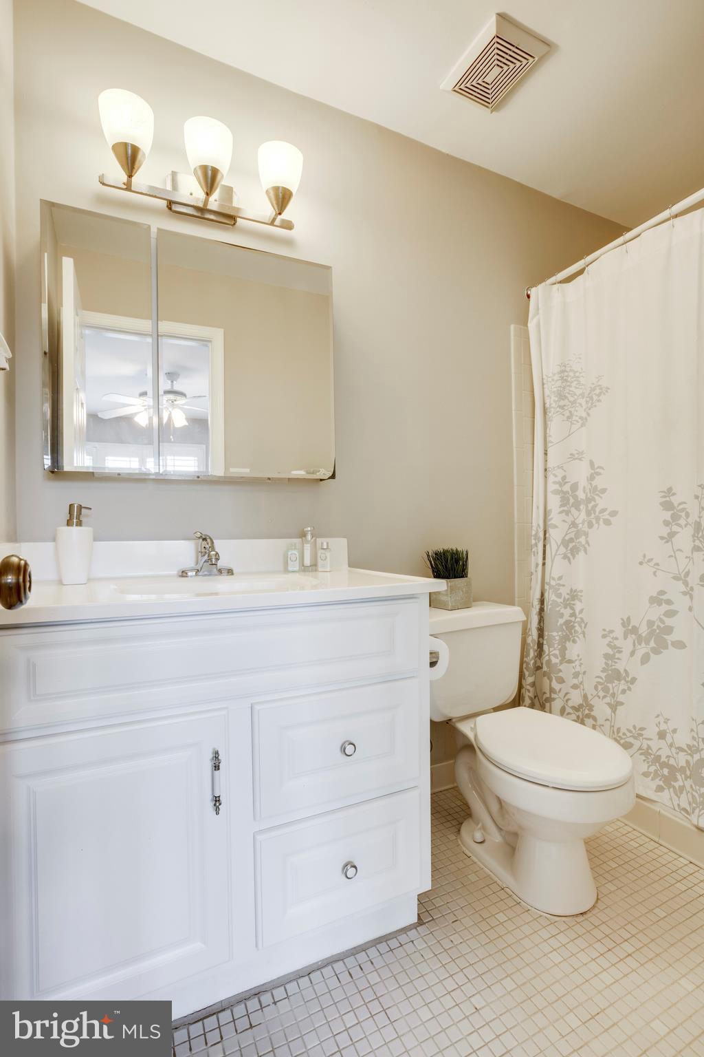 3900 9th Road South Arlington, VA 22204 - Photo 18 of 24 En-suite full BA in MBR