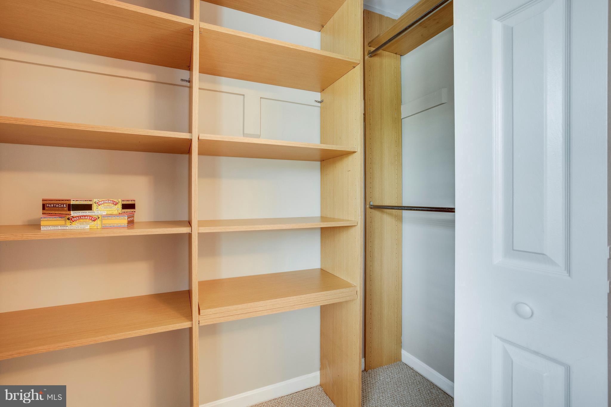 3900 9th Road South Arlington, VA 22204 - Photo 19 of 24 MBR closet built-ins