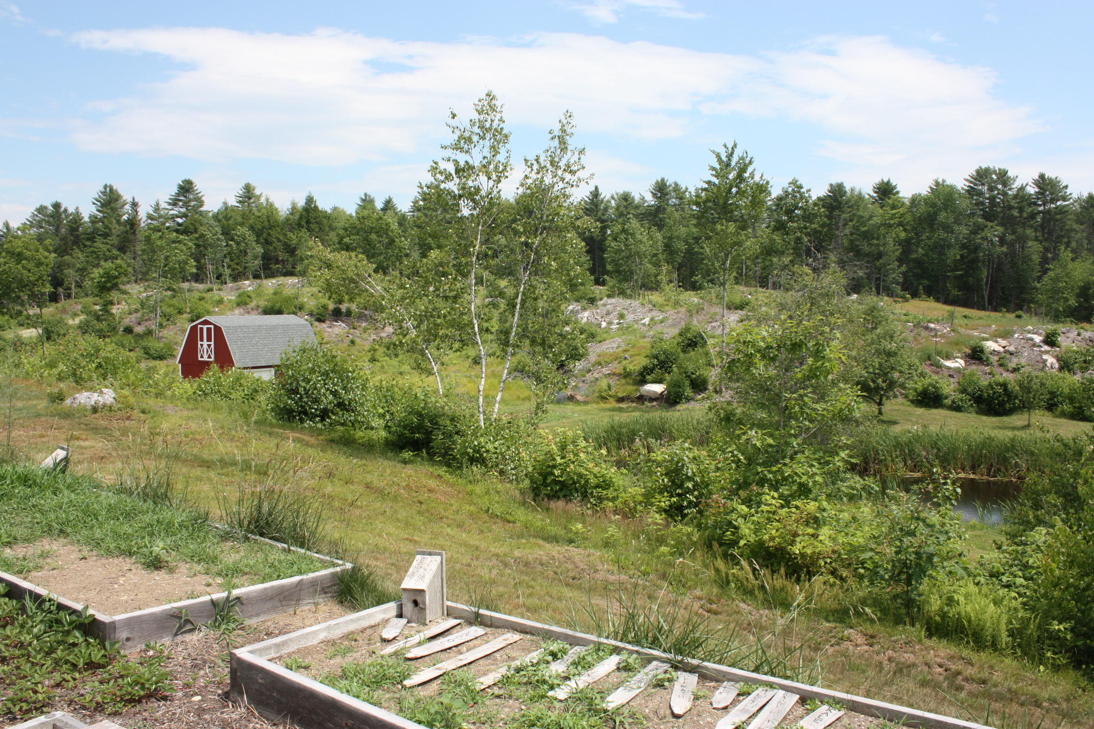 461 Augusta Road Washington, ME 04574 - Photo 49 of 65 IMG_3147 (1)