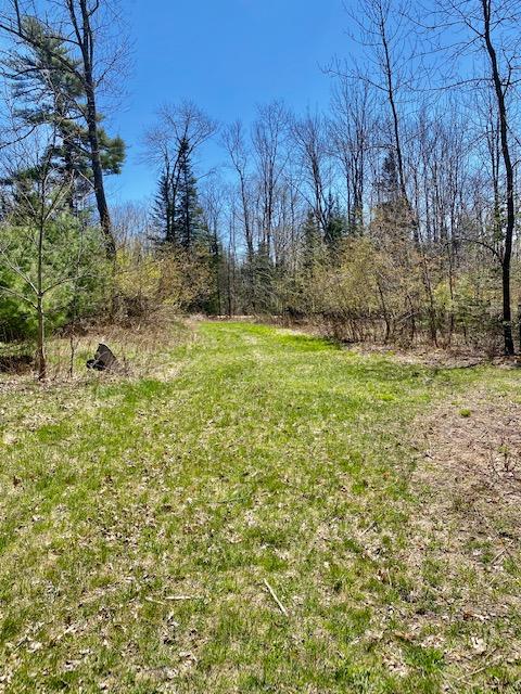 0 Mast Hill Road Bucksport, ME 04416 - Photo 11 of 11 IMG_1703