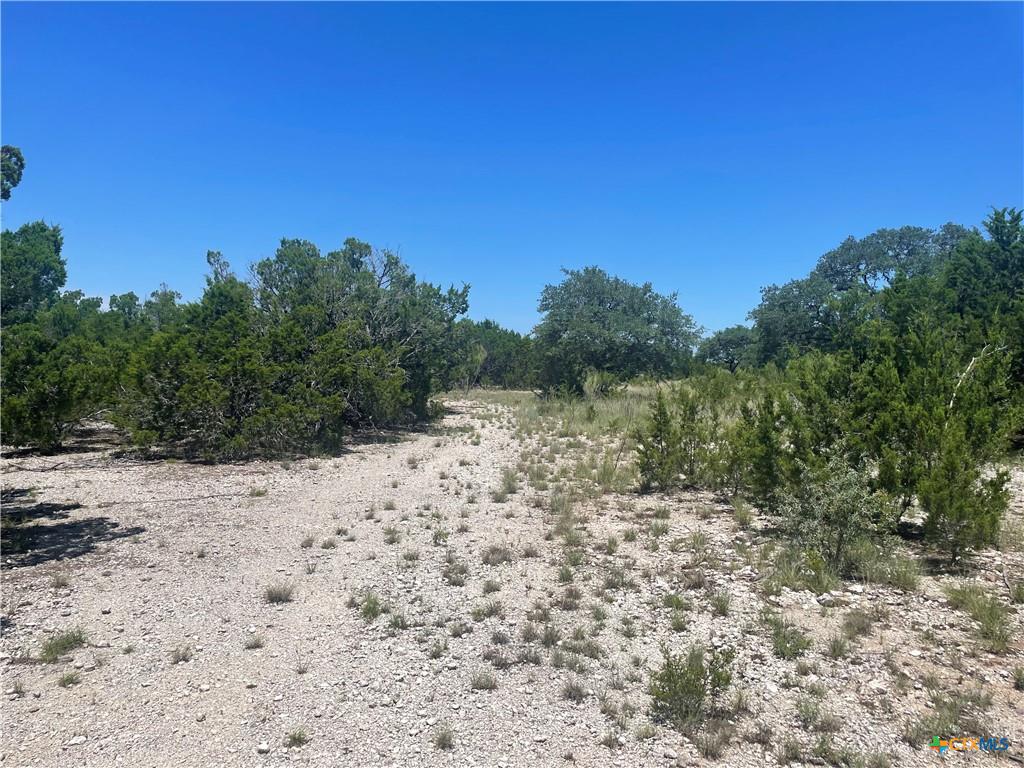 Lot 65 Estate View Circle Lampasas, TX 76550 - Photo 17 of 18 a view of a road with a yard
