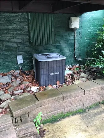 a view of a backyard with plants