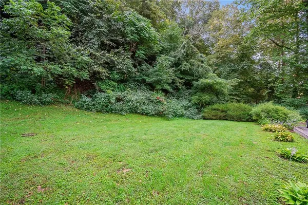 a view of a yard with a tree