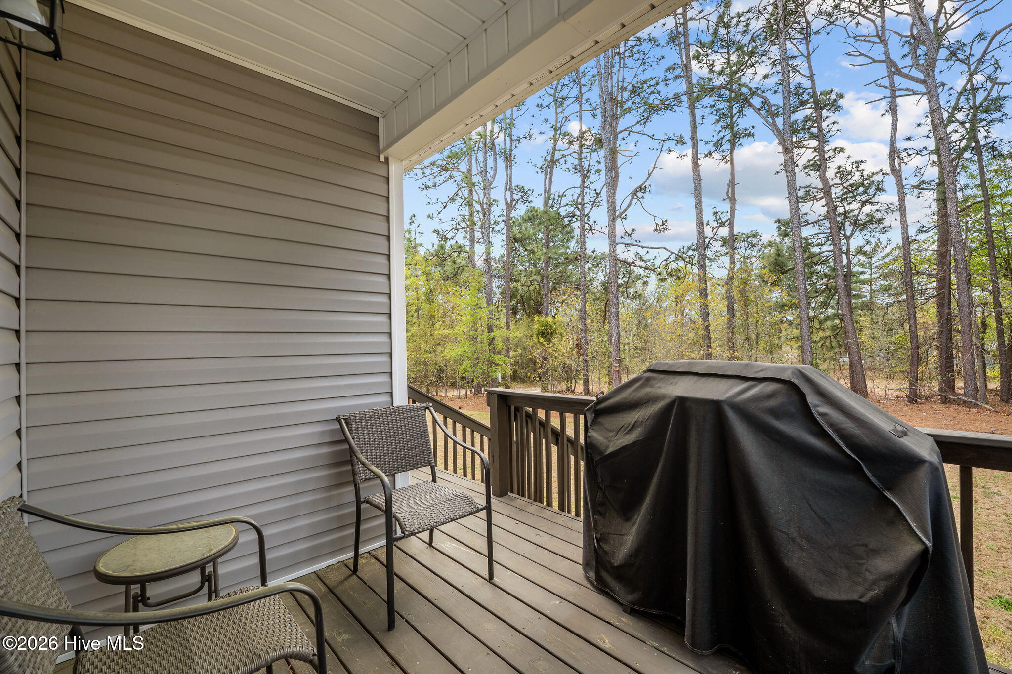 106 Walnut Avenue Hamlet, NC 28345 - Photo 37 of 53 39-web-or-mls-DSC06982