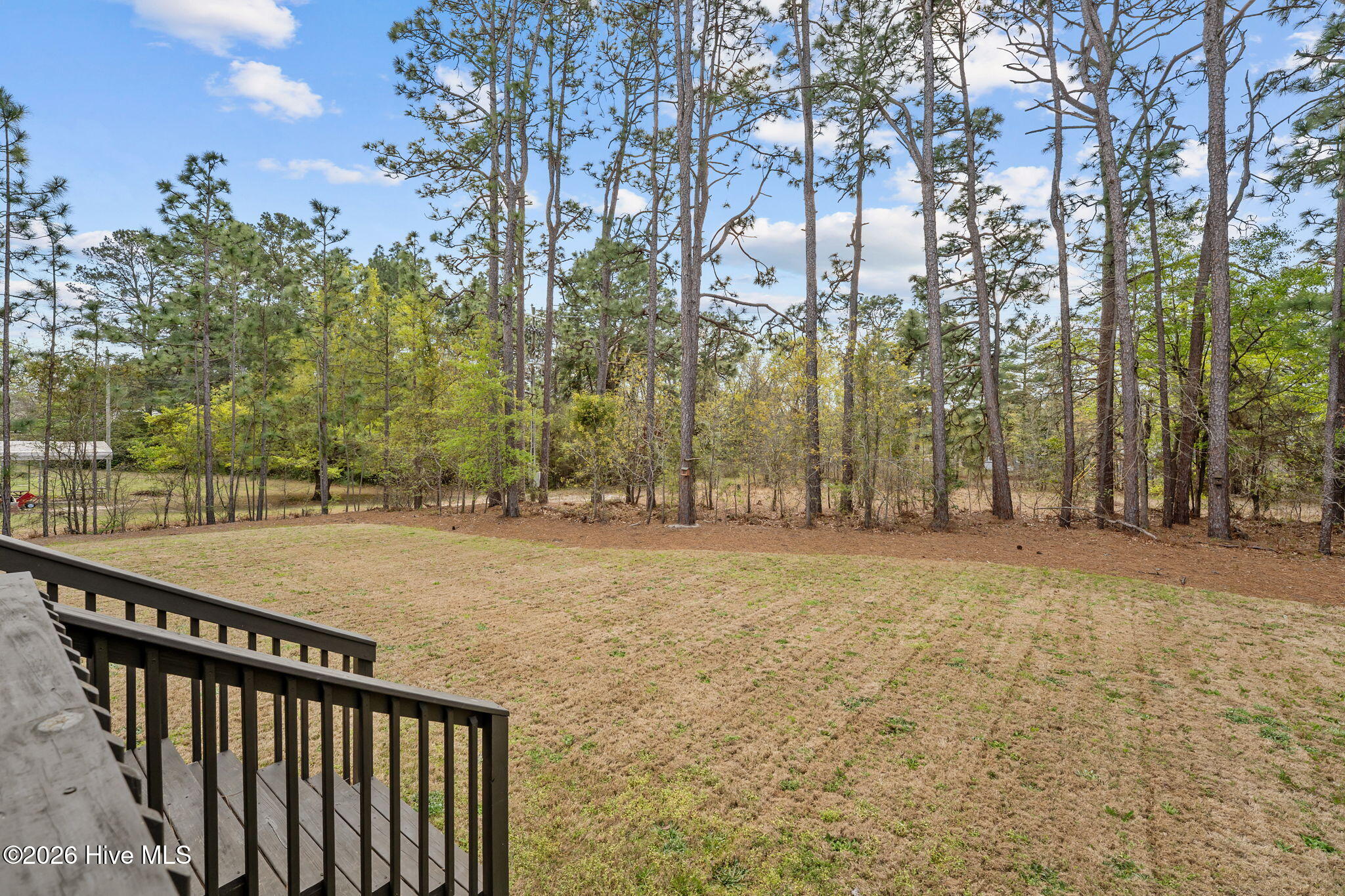 106 Walnut Avenue Hamlet, NC 28345 - Photo 38 of 53 40-web-or-mls-DSC06983