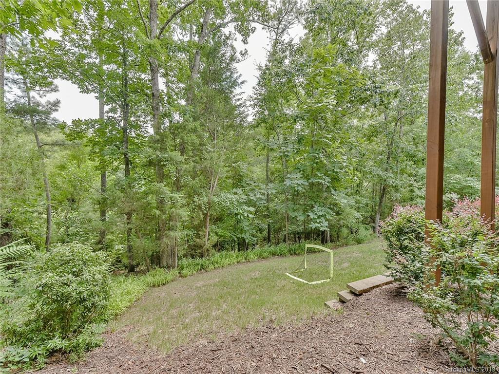 313 Olmstead Street Fort Mill, SC 29708 - Photo 38 of 48 a view of a garden