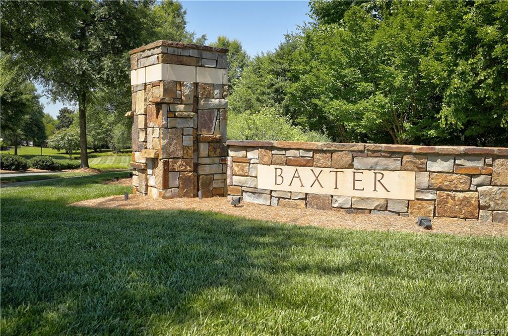313 Olmstead Street Fort Mill, SC 29708 - Photo 39 of 48