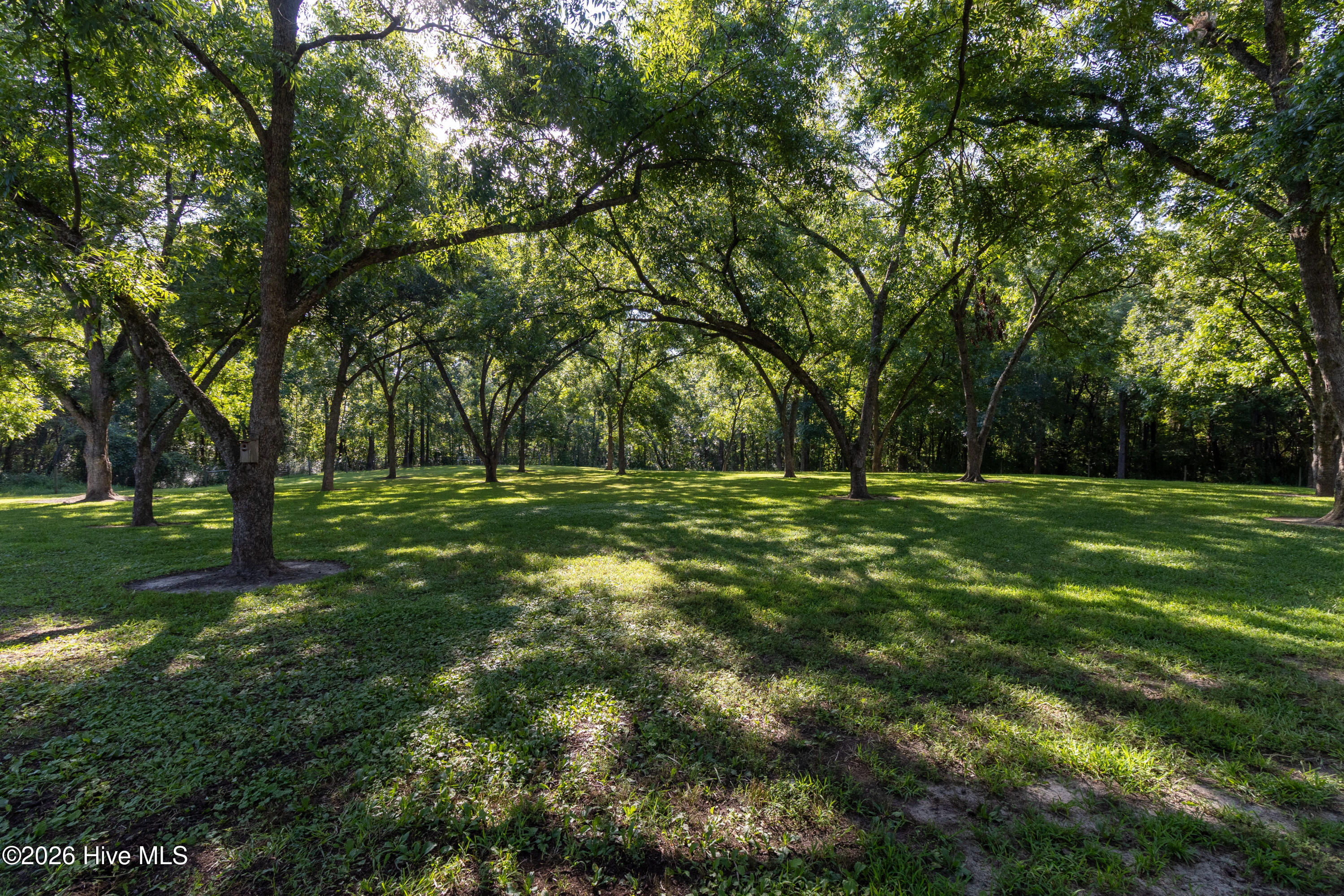 159 Hickory Fork Road Edenton, NC 27932 - Photo 40 of 53 Yard