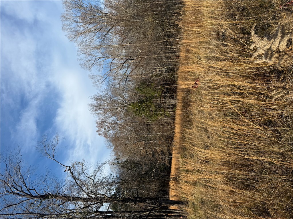 603 East Abbey Street Westminster, SC 29693 - Photo 13 of 21