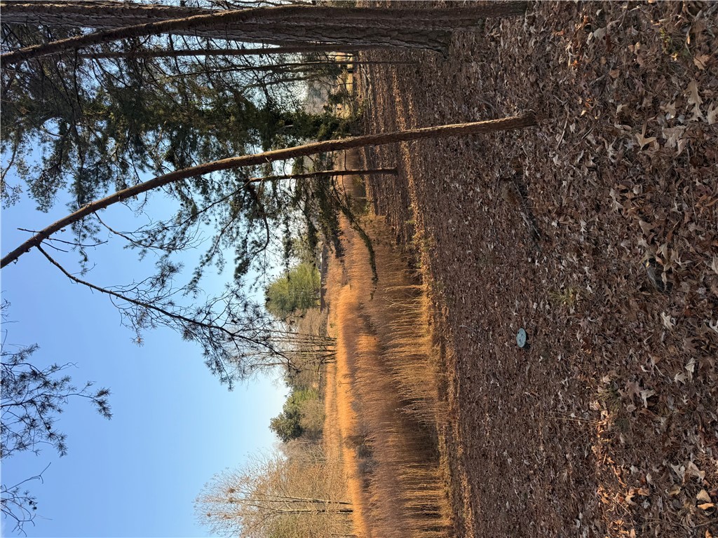 603 East Abbey Street Westminster, SC 29693 - Photo 14 of 21