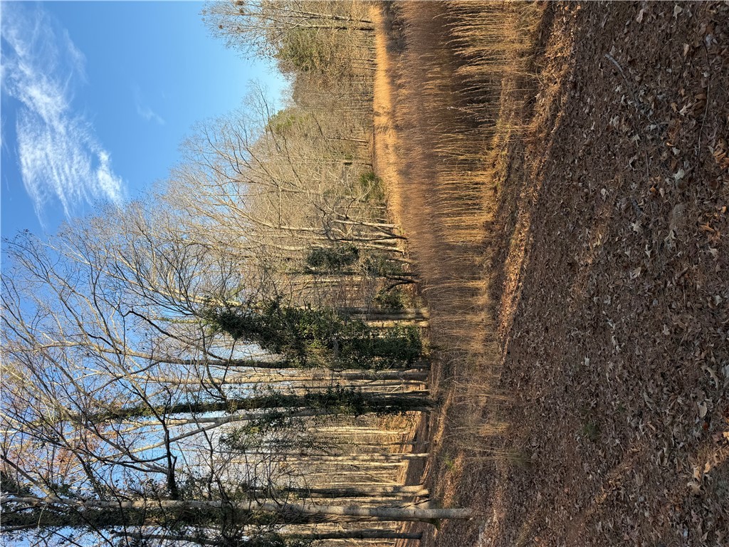 603 East Abbey Street Westminster, SC 29693 - Photo 15 of 21